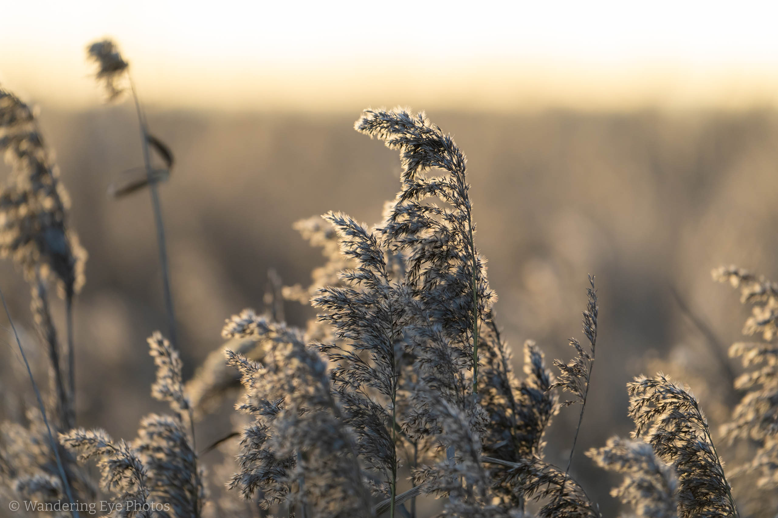 11.24 08.28.51   DSC00788